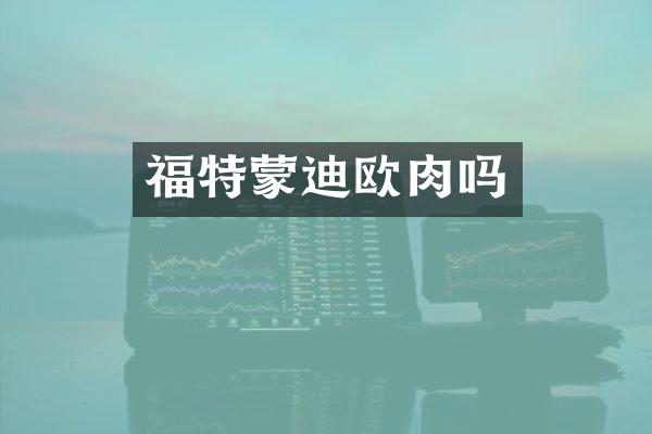 福特蒙迪欧肉吗