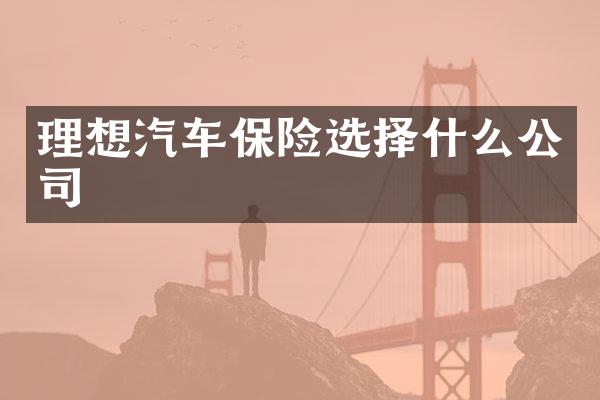 理想汽车保险选择什么公司