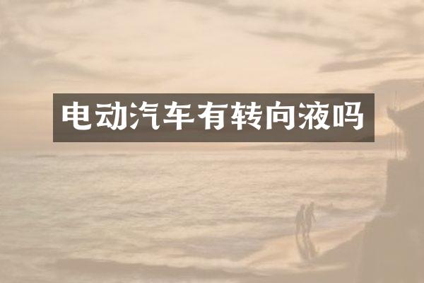 电动汽车有转向液吗