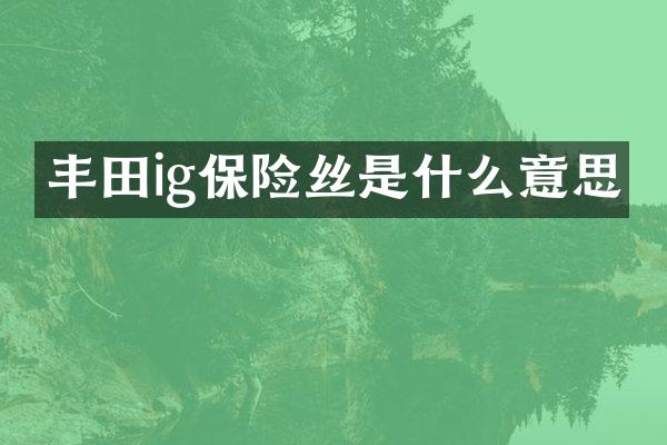 丰田ig保险丝是什么意思