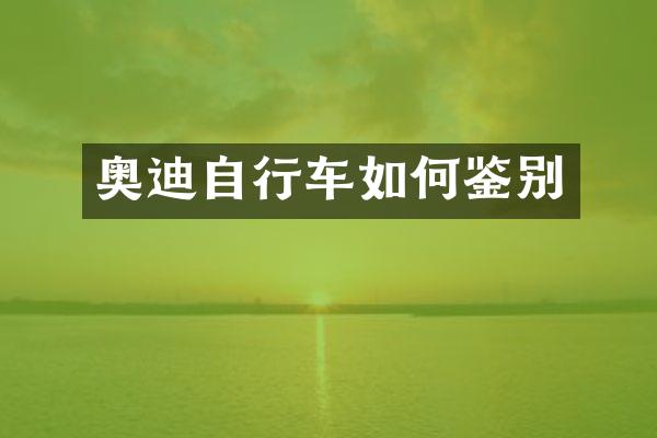 奥迪自行车如何鉴别