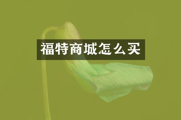福特商城怎么买