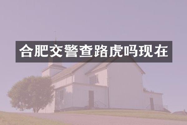 合肥交警查路虎吗现在