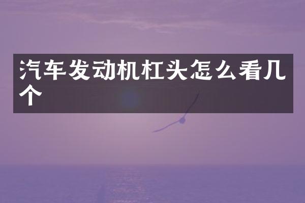 汽车发动机杠头怎么看几个