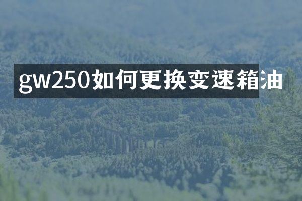 gw250如何更换变速箱油