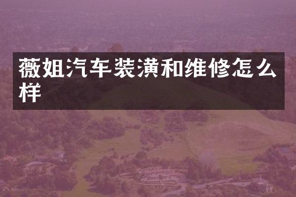 薇姐汽车装潢和维修怎么样