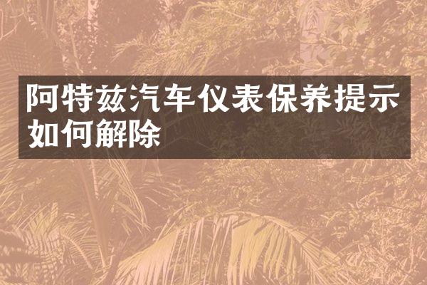 阿特兹汽车仪表保养提示如何解除