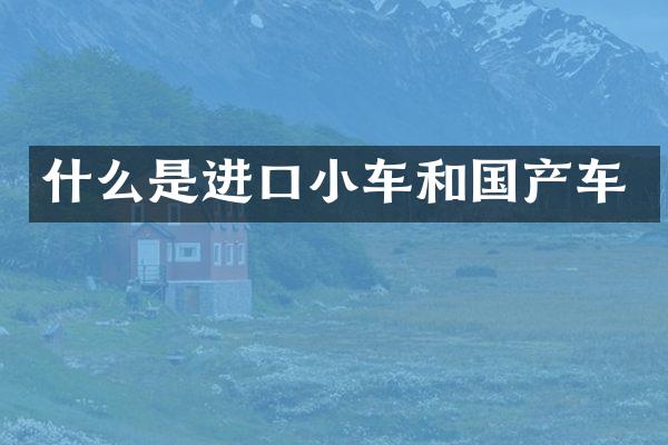 什么是进口小车和国产车