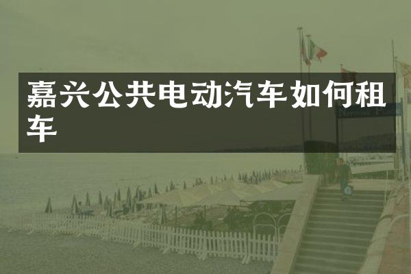 嘉兴公共电动汽车如何租车