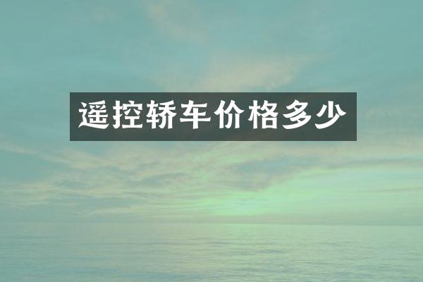 遥控轿车价格多少