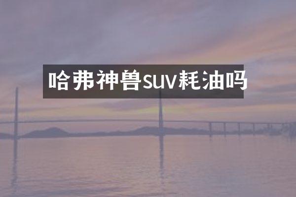 哈弗神兽suv耗油吗
