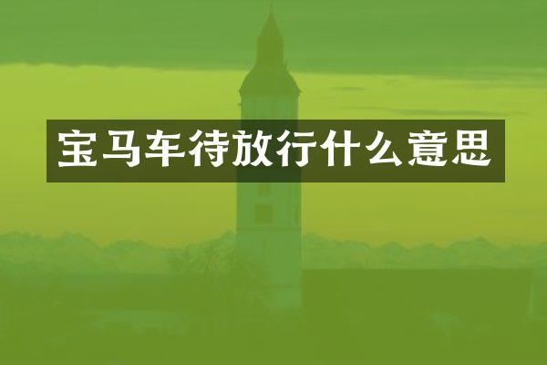 宝马车待放行什么意思