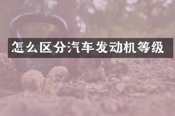 怎么区分汽车发动机等级