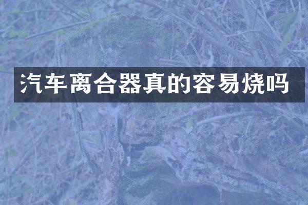 汽车离合器真的容易烧吗