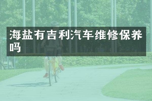 海盐有吉利汽车维修保养吗
