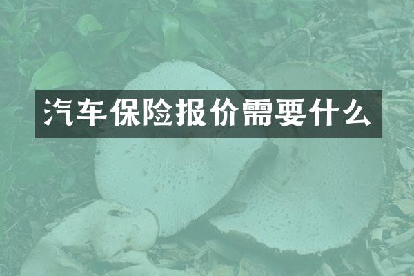 汽车保险报价需要什么