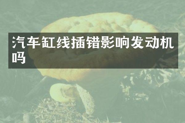 汽车缸线插错影响发动机吗