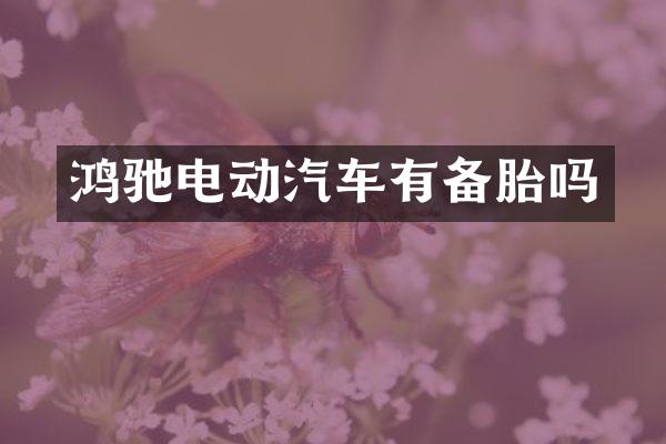 鸿驰电动汽车有备胎吗