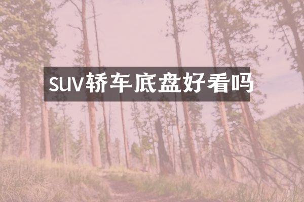 suv轿车底盘好看吗
