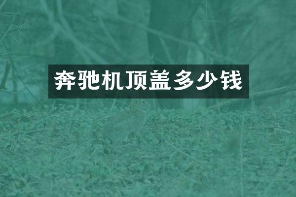 奔驰机顶盖多少钱