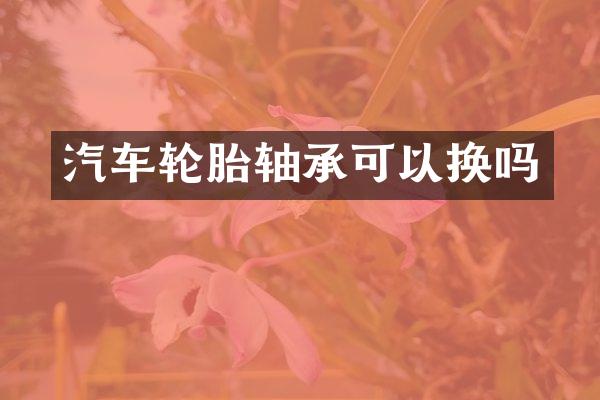 汽车轮胎轴承可以换吗