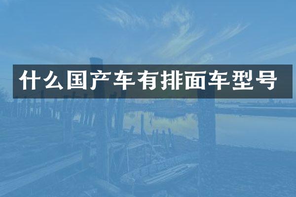 什么国产车有排面车型号