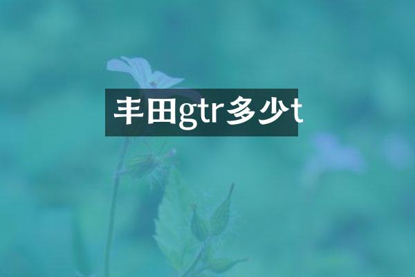 丰田gtr多少t