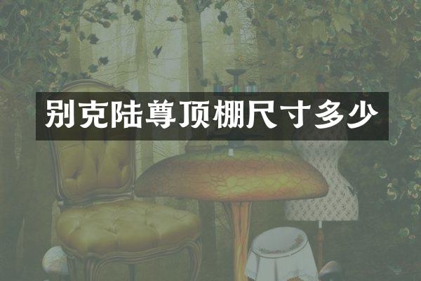 别克陆尊顶棚尺寸多少