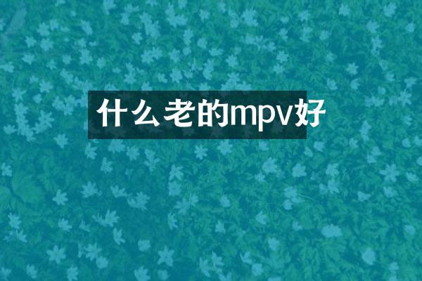 什么老的mpv好
