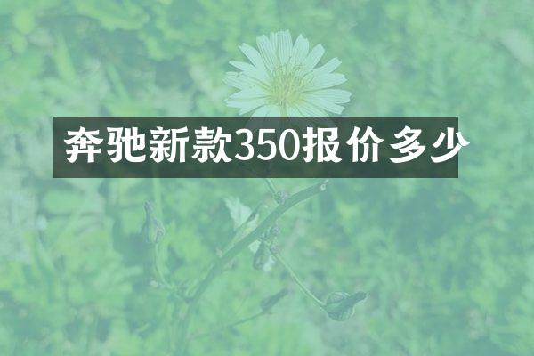 奔驰新款350报价多少