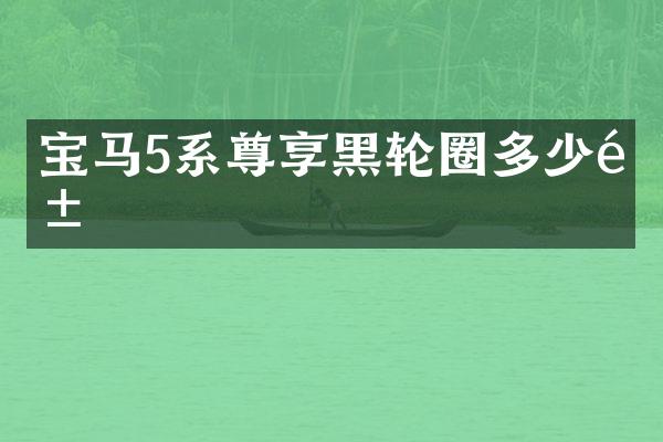 宝马5系尊享黑轮圈多少钱