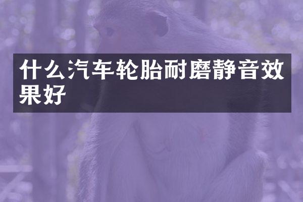 什么汽车轮胎耐磨静音效果好