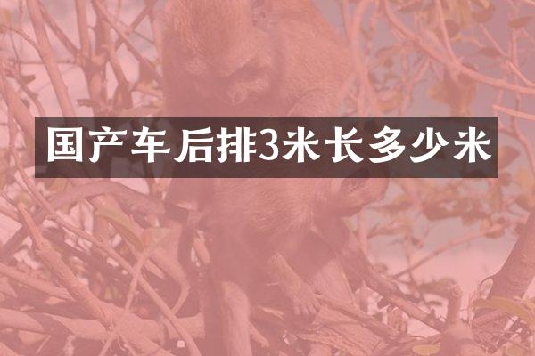 国产车后排3米长多少米