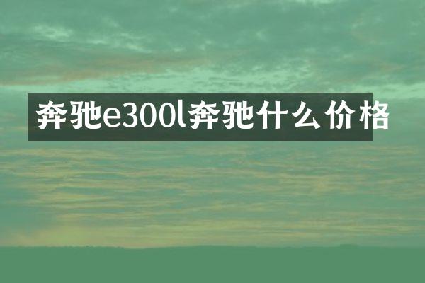 奔驰e300l奔驰什么价格