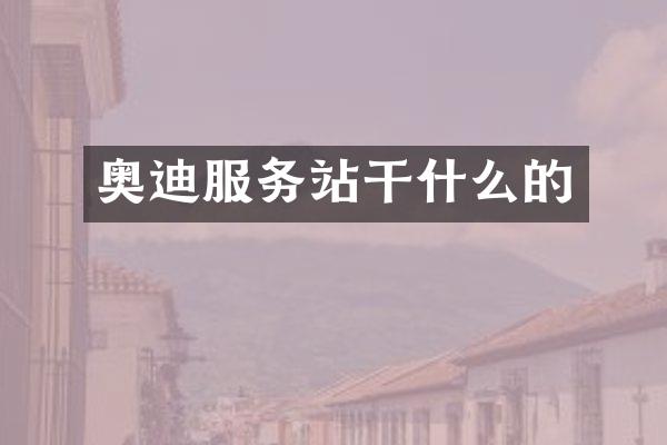 奥迪服务站干什么的