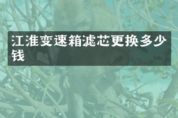 江淮变速箱滤芯更换多少钱