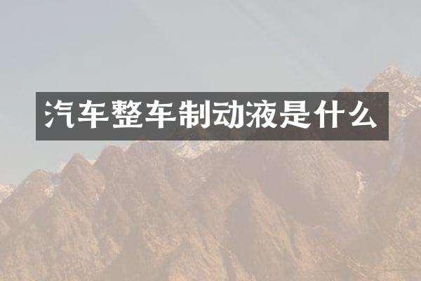 汽车整车制动液是什么