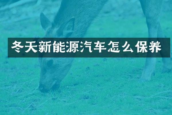 冬天新能源汽车怎么保养