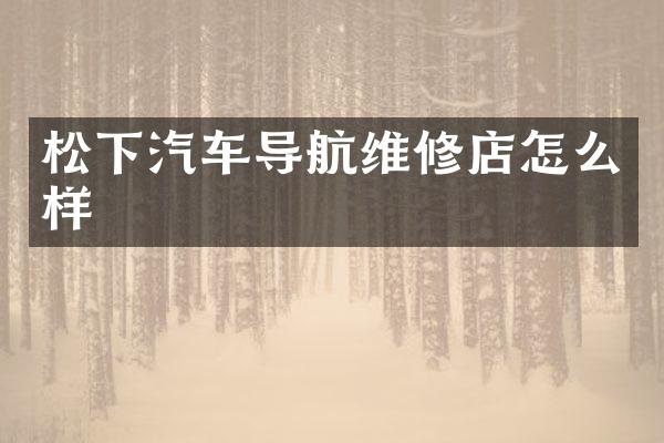 汽车导航维修店怎么样