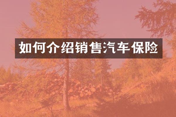 如何介绍销售汽车保险