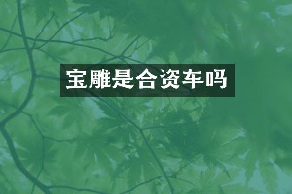 宝雕是合资车吗