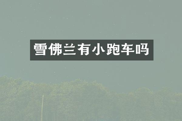 雪佛兰有小跑车吗
