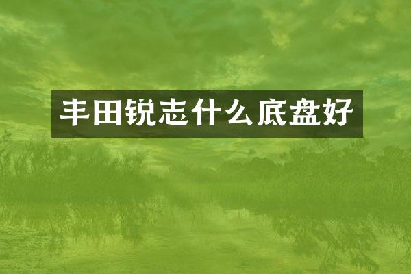 丰田锐志什么底盘好