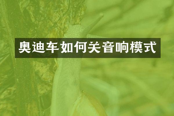 奥迪车如何关音响模式