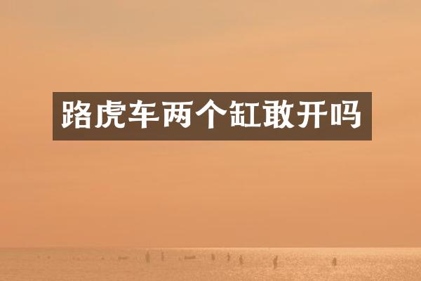 路虎车两个缸敢开吗