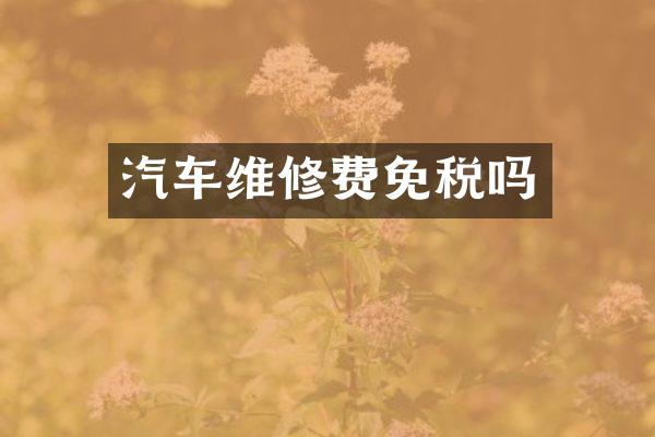 汽车维修费免税吗