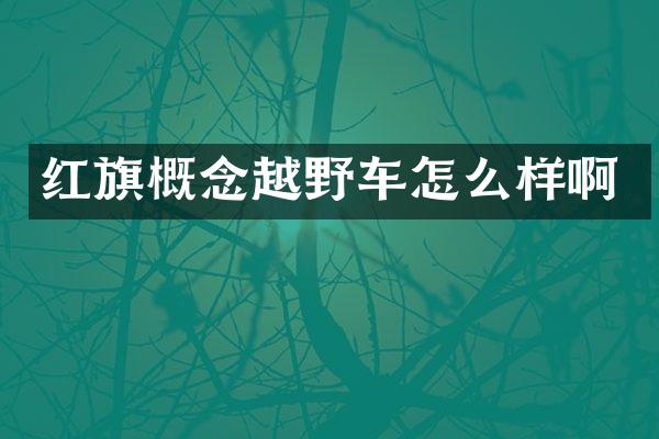 红旗概念越野车怎么样啊