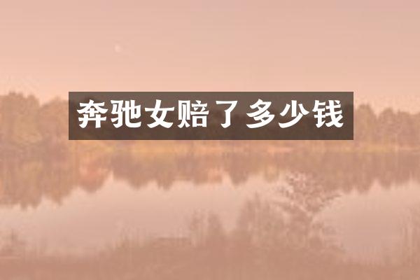 奔驰女赔了多少钱