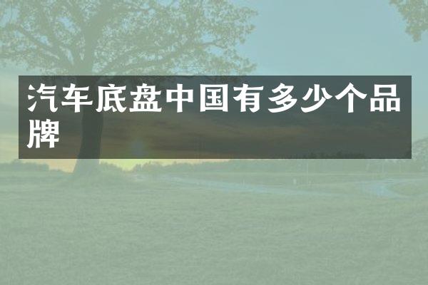 汽车底盘中国有多少个品牌