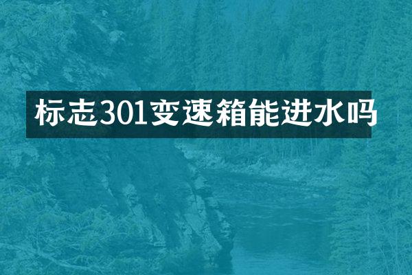 标志301变速箱能进水吗